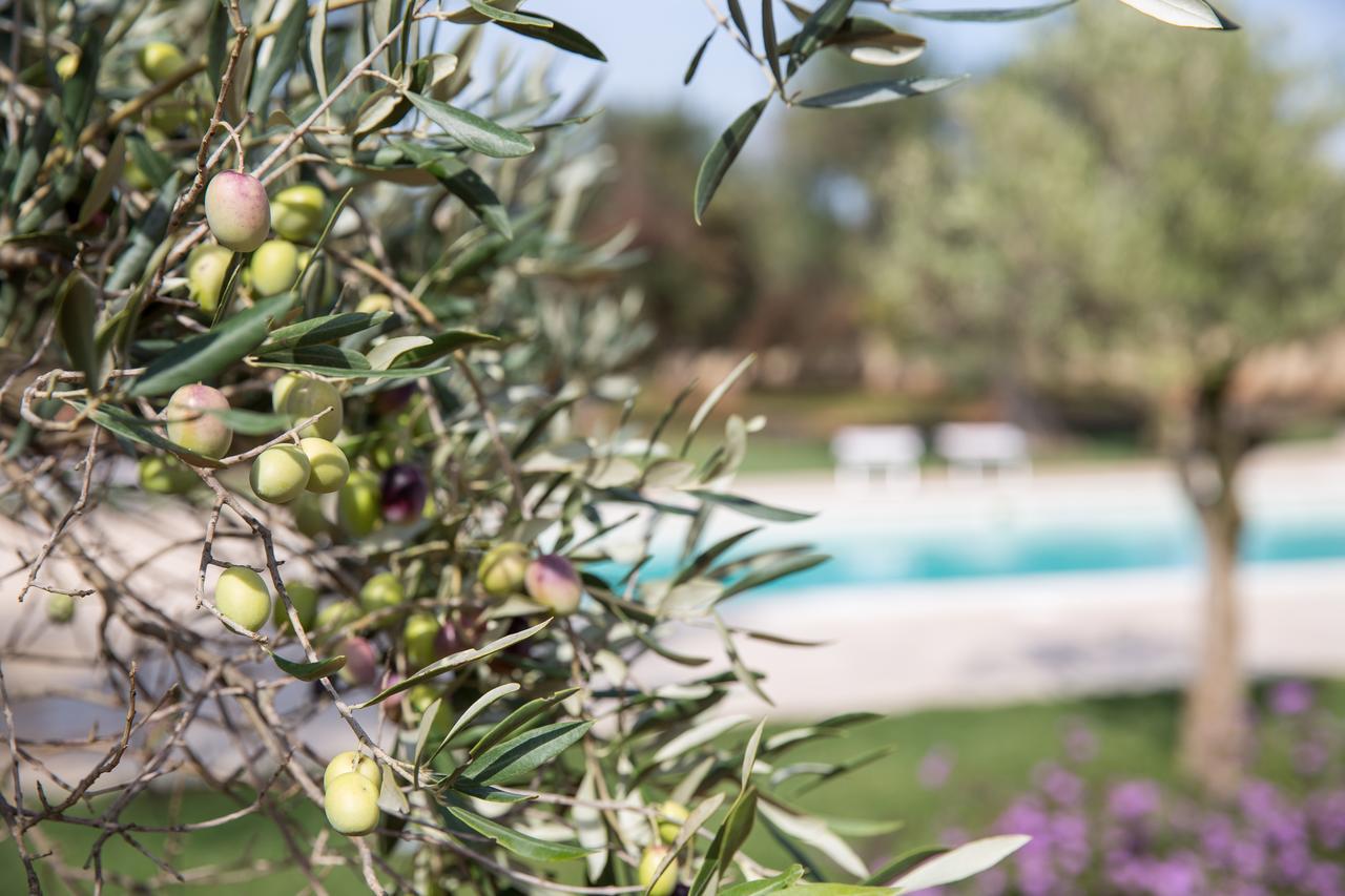Masseria Saietti 루파노 외부 사진
